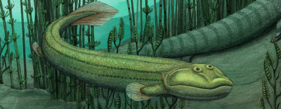 Kian Fish's Grandfather